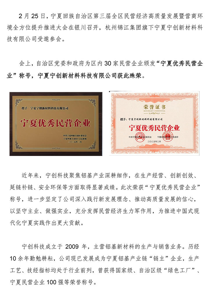 寧夏優(yōu)秀民營(yíng)企業(yè).jpg