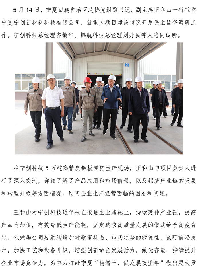 20250514自治區(qū)政協(xié)黨組副書(shū)記、副主席王和山一行蒞臨寧創(chuàng)科技公司就重大項(xiàng)目建設(shè)情況開(kāi)展民主監(jiān)督調(diào)研工作-1.jpg